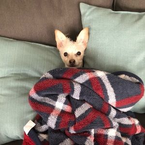 Meet your Posher, Ramona